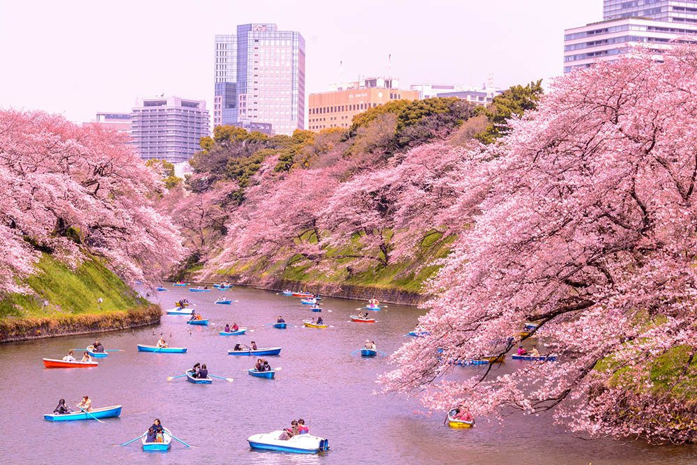 Gelenek ve Modernite: Güney Kore & Japonya