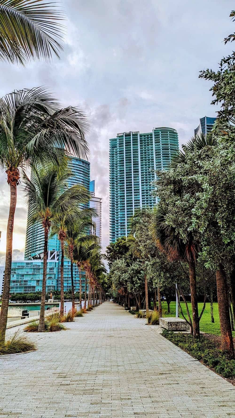 Downtown-Miami-waterfront-large-min