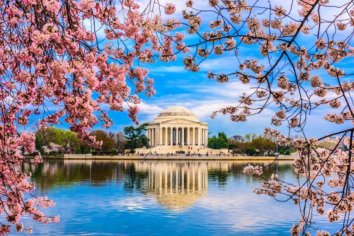 washington-dc-im-fruehling-istock_83580413_large-2