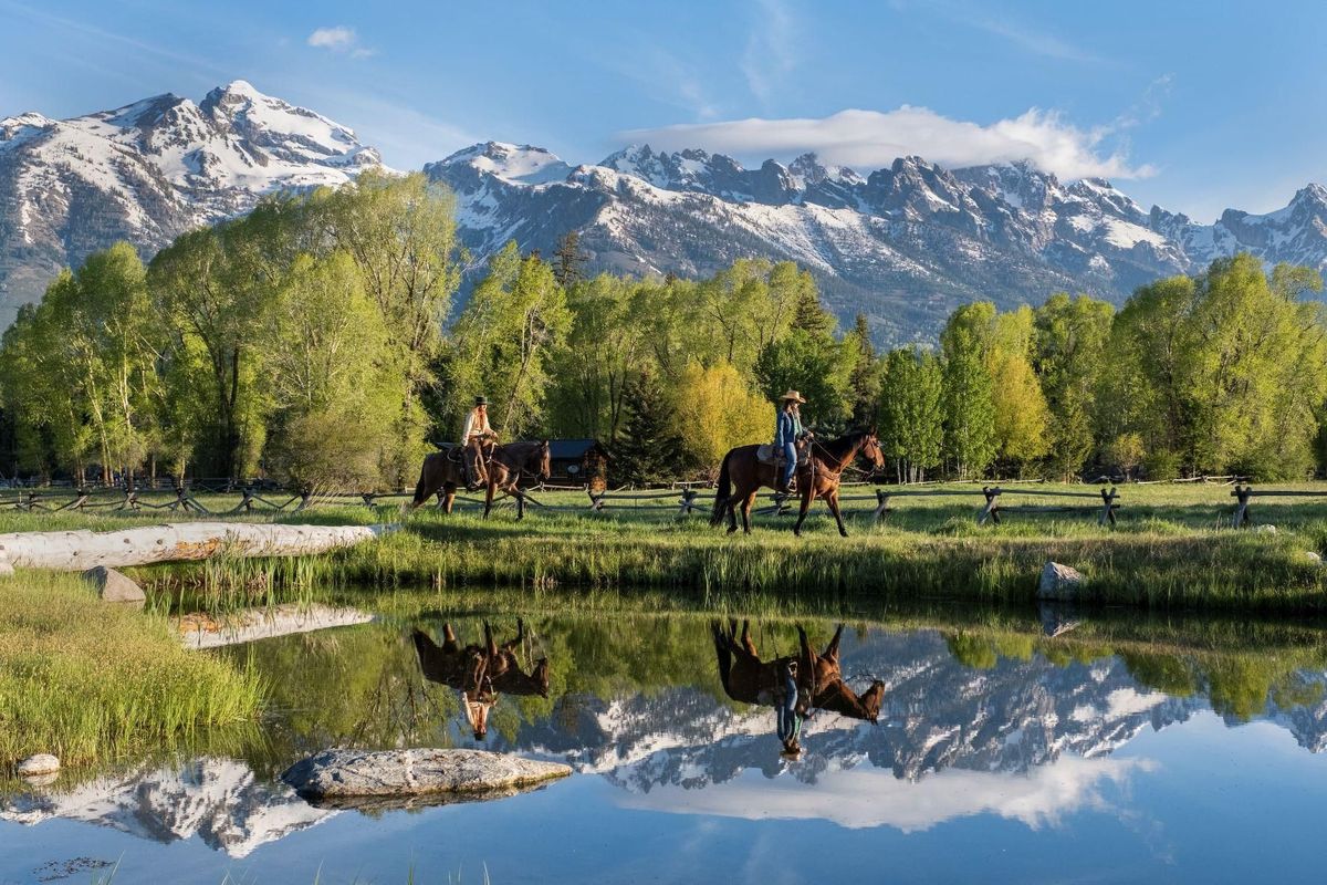 Jackson Hole 1