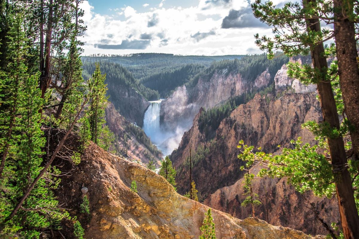 Yellowstone 2