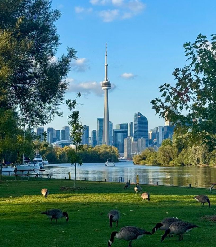 Toronto 3