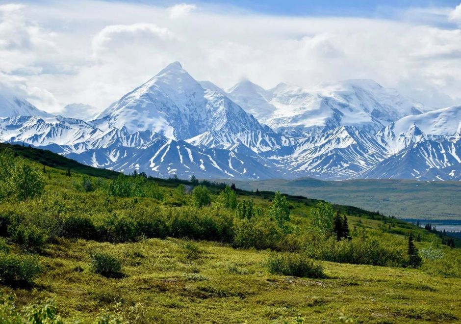 Denali 3