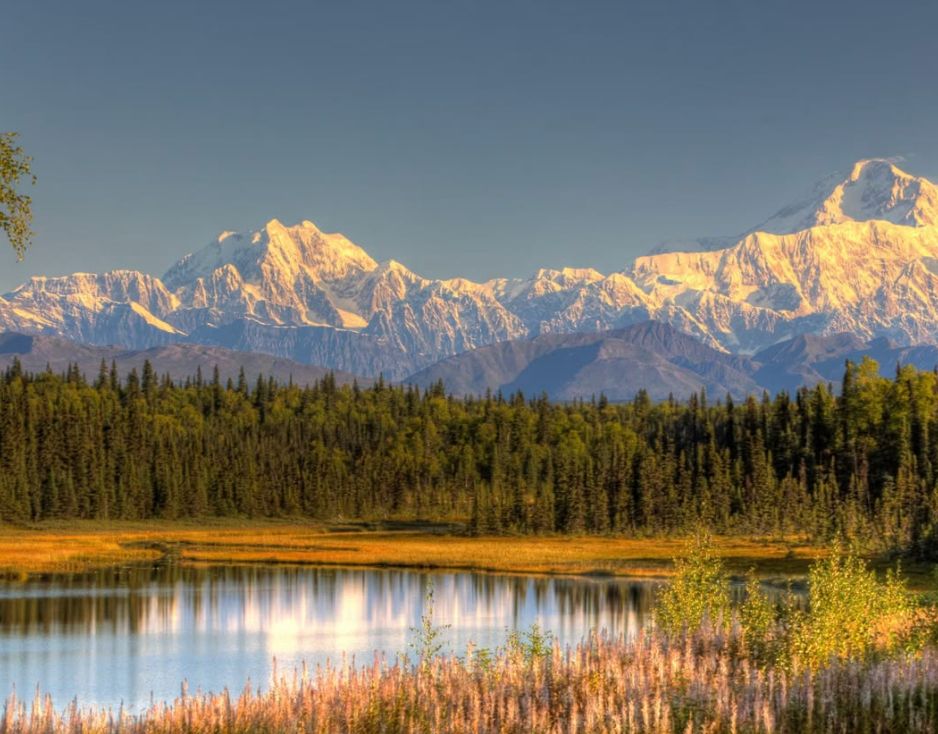 Denali 4
