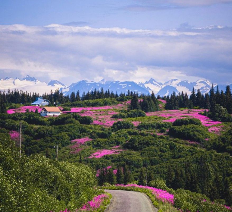 Fairbanks 1